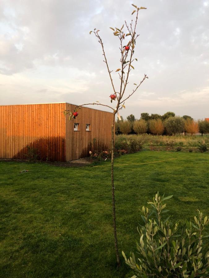 B&B Snurk Stiens, Fijn Verblijf Aan Open Vaarwater ภายนอก รูปภาพ